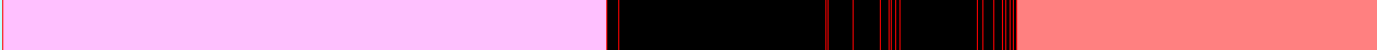 Analysis Image